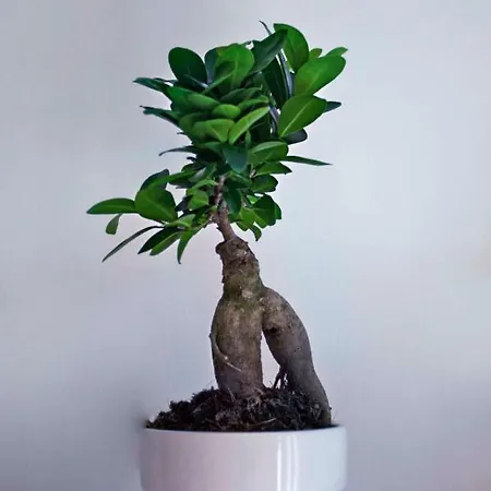 아파트 La Casa Sul Fiume